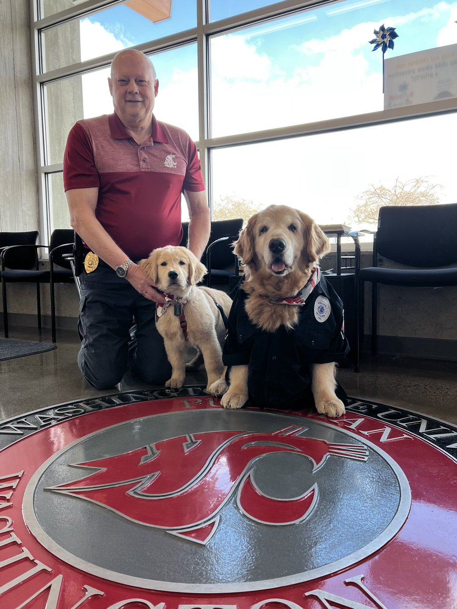WSUPolice's tweet photo. Chief hired our first K-9 unit today and he already got his first arrest!
We are always happy to see @therealdashdog and Chase around the department. Come back and help us deter crime anytime! #WSU #GoCougs #dashdog https://t.co/cvgwfqXFEh