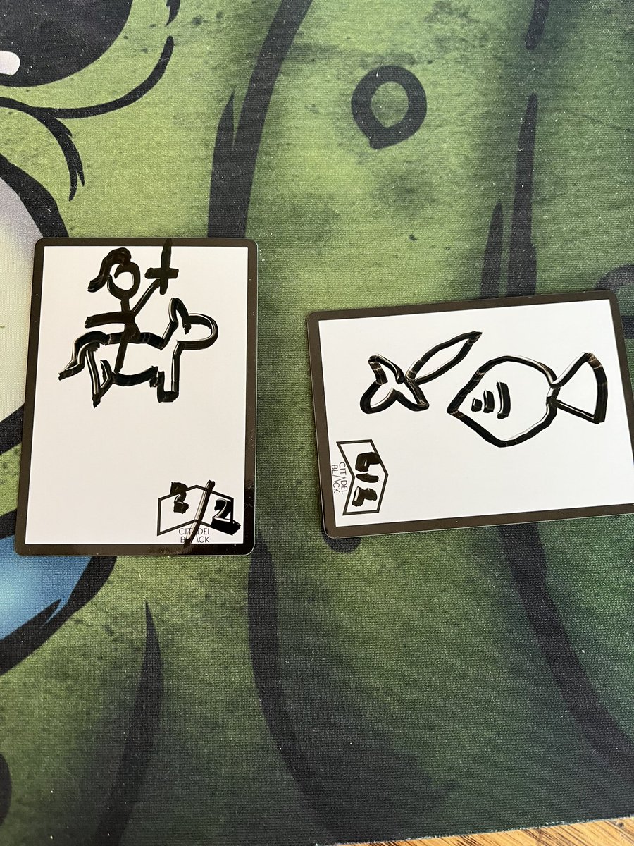 My sister has these token dry erase cards for MTG that let you draw your own...