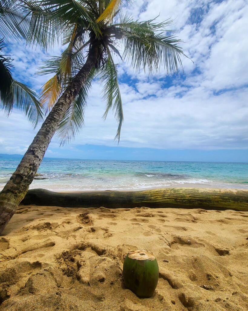 ruggedpassport's tweet photo. Playa Punta Uva, Puerto Viejo, Costa Rica https://t.co/Uvgj7qqVri https://t.co/ah0yBXSDPf
