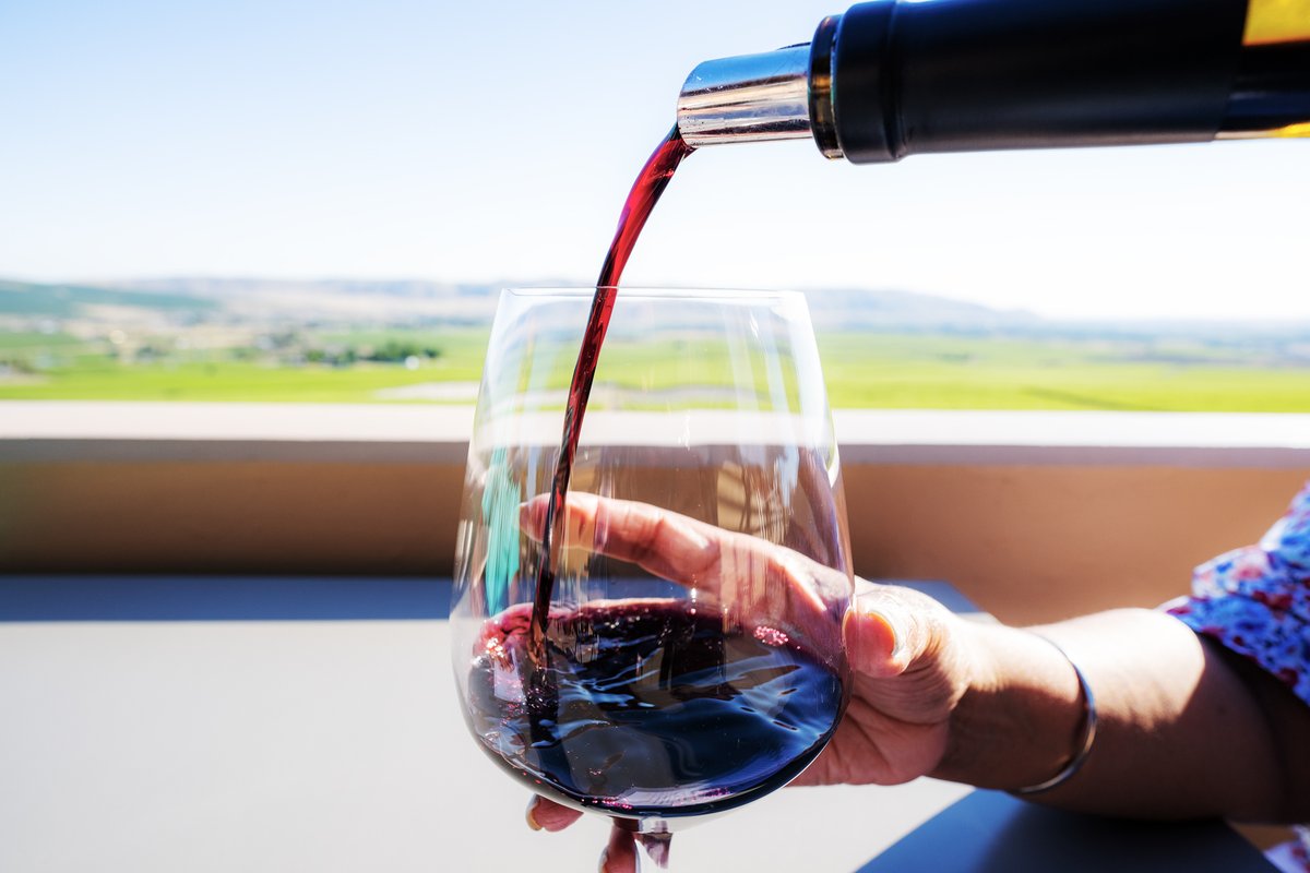 Spring Barrel events are kicking off this weekend in the Heart of Washington Wine Country®!😎🍷☀️

Click the link in our bio to see where to sip and celebrate good weather and good wine!

#VisitTriCitiesWA #tricitieswa #HeartofWashingtonWineCountry #SpringBarrel #wine