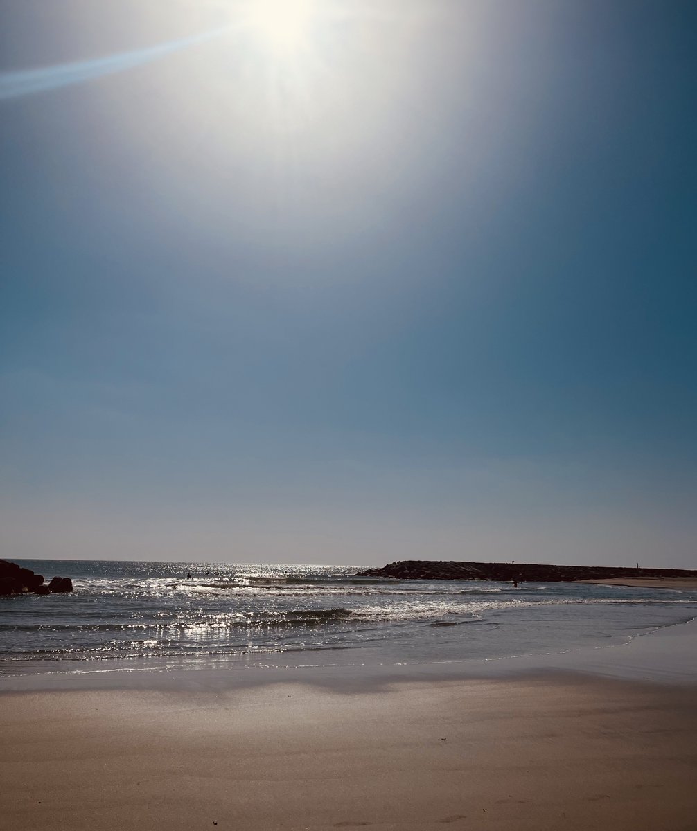 3d_lab_'s tweet photo. おはようございます☀
今日も元気にあさんぽです🚶‍♀️
海は広いな大きいな〜ル〜ル〜ル〜♪ 
歌詞を忘れてググったそんな朝。

 毎朝15分〜30分の散歩は自律神経が整えられるそうです😌仕事が捗りそうな響きです‼︎
 目指せストレスフリーな人生💪 https://t.co/Tvmb25CnXx