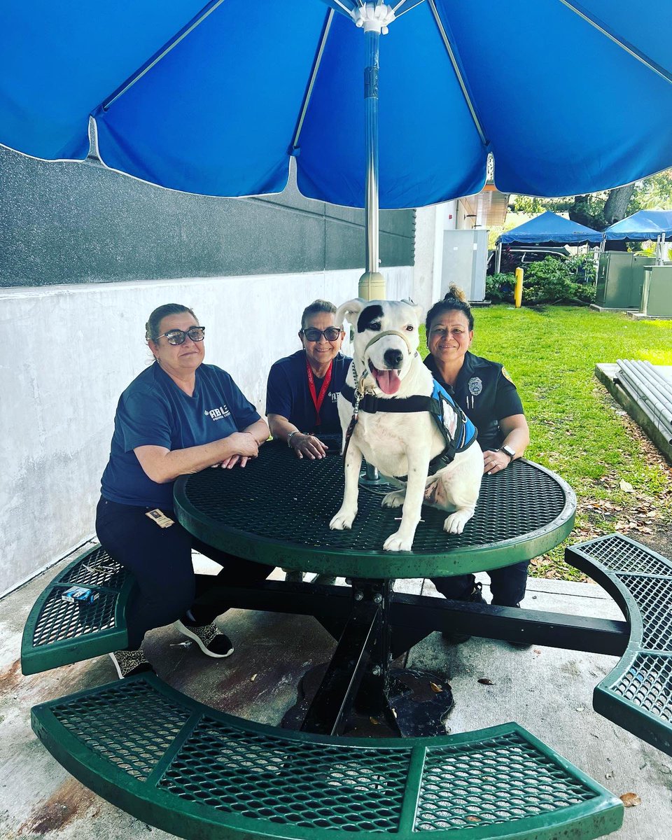 FrecklesMPD's tweet photo. Visiting our #cityofmiamipolicedepartment #headquarters #today  and #sharinglove 💙❤️🐶🐾 🚔 https://t.co/AZntBgP20e