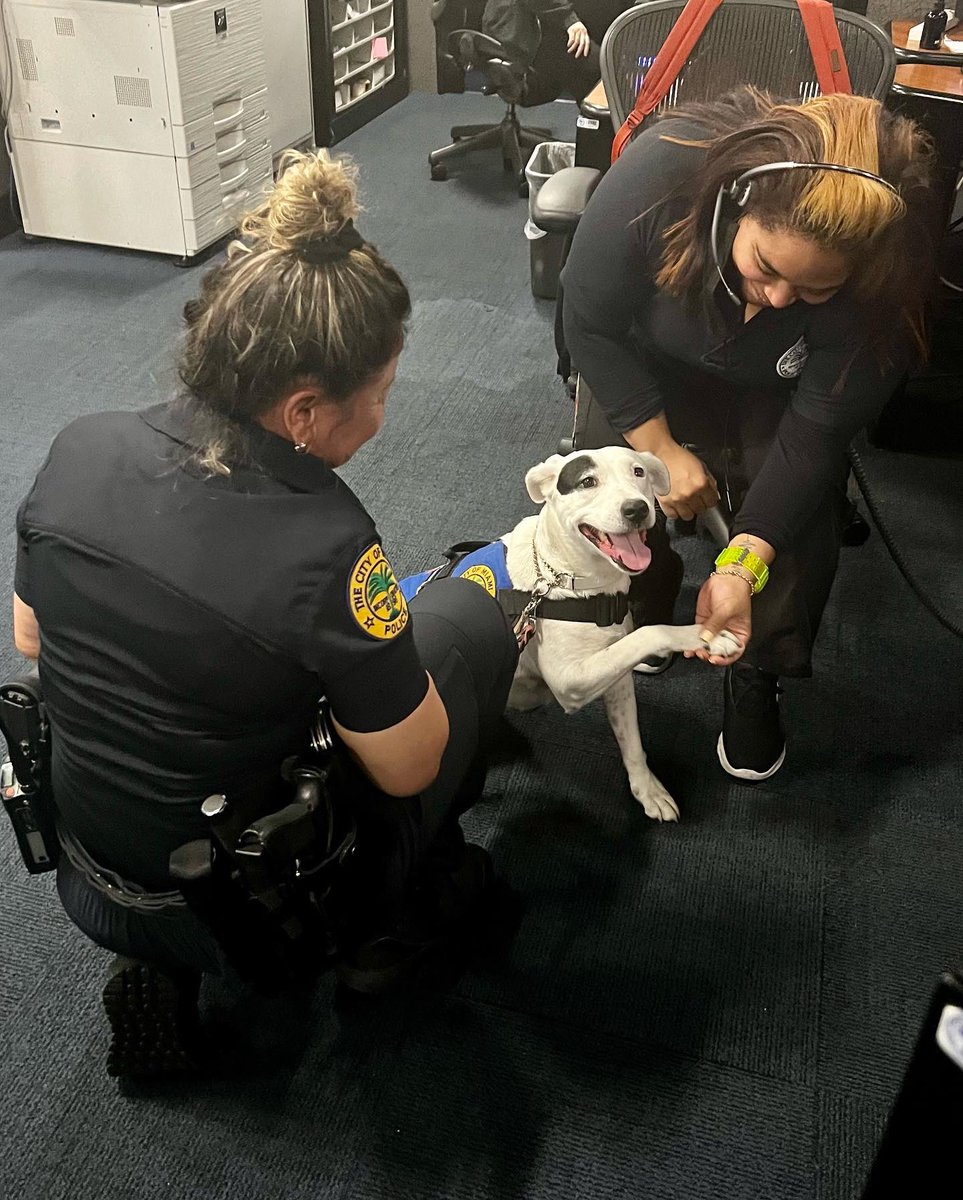 FrecklesMPD's tweet photo. Visiting our #cityofmiamipolicedepartment #headquarters #today  and #sharinglove 💙❤️🐶🐾 🚔 https://t.co/AZntBgP20e