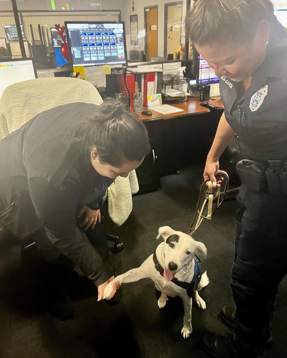 FrecklesMPD's tweet photo. Visiting our #cityofmiamipolicedepartment #headquarters #today  and #sharinglove 💙❤️🐶🐾 🚔 https://t.co/AZntBgP20e