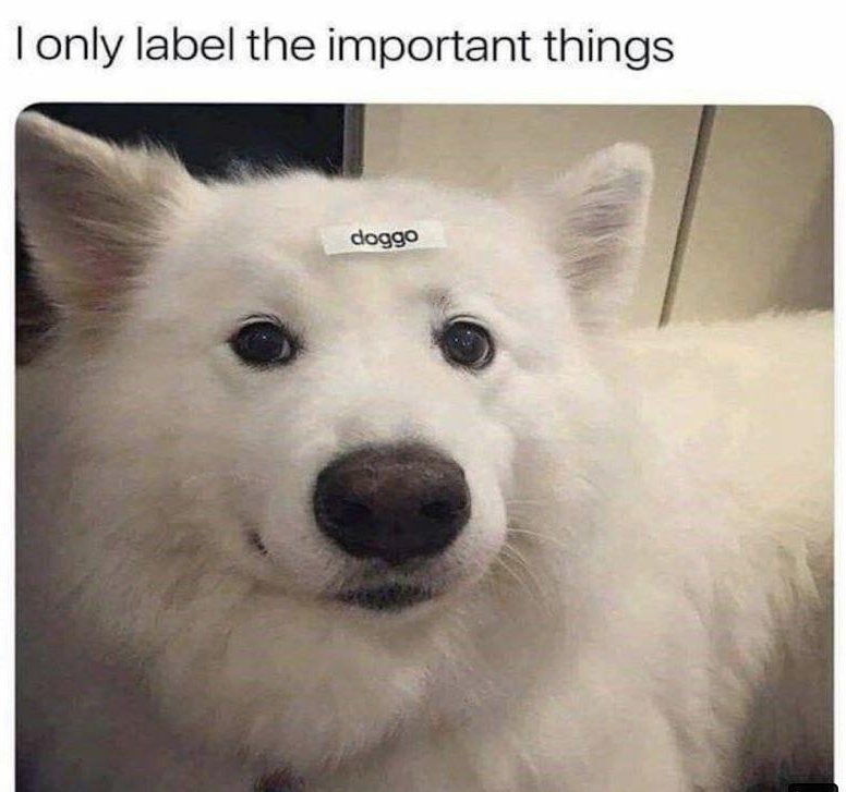 WholesomeMemes (@wholesomememe) on Twitter photo 