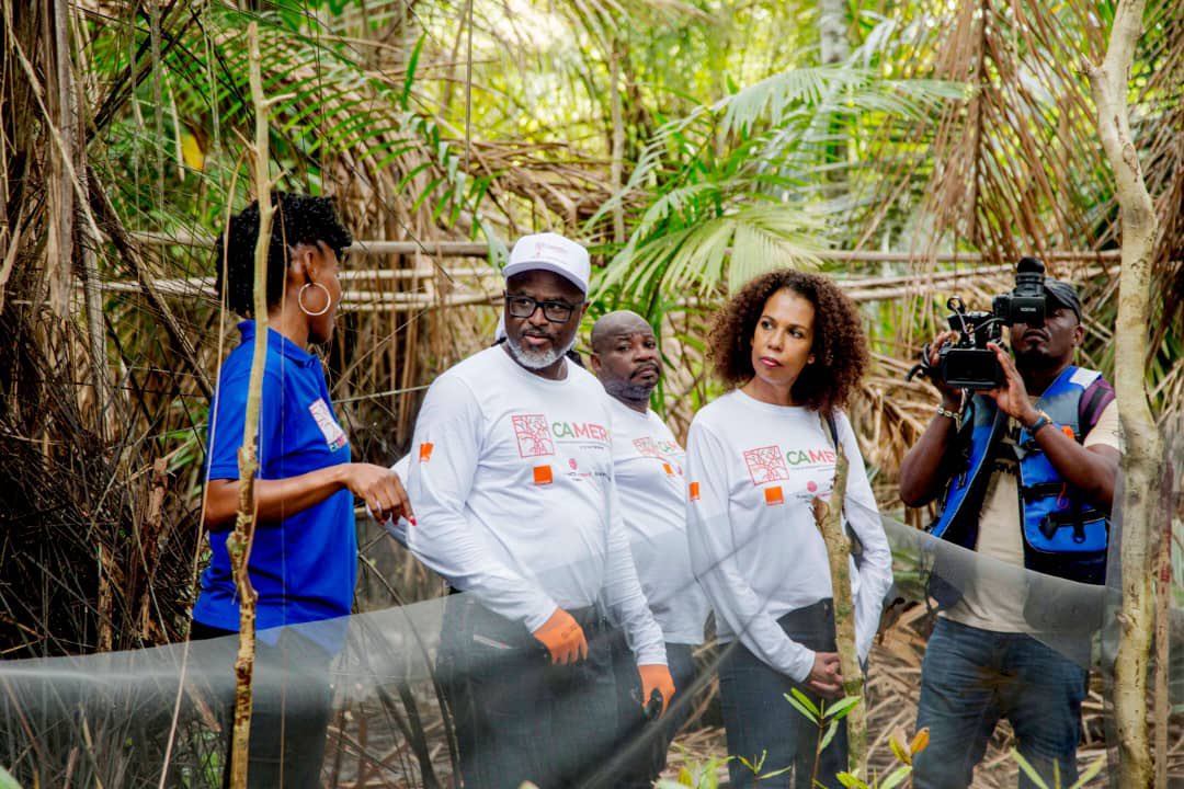 Patrick BENON tweet media