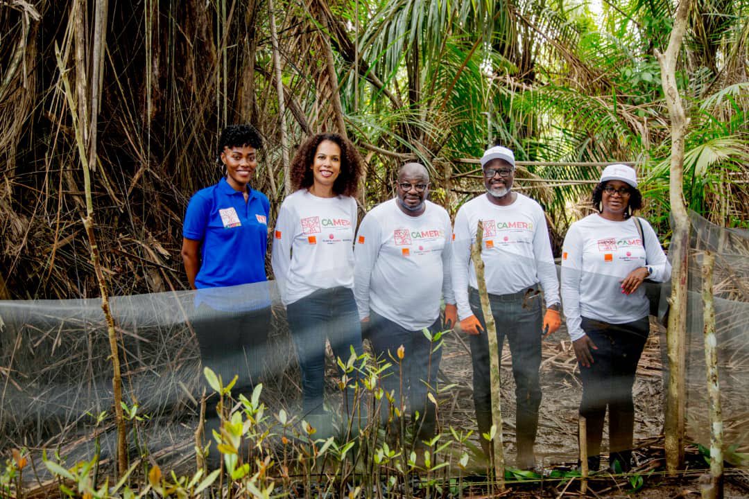 Patrick BENON tweet media