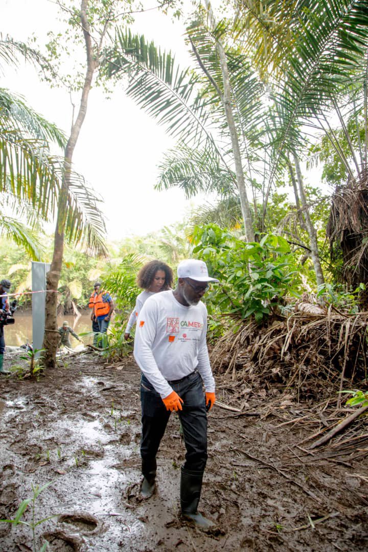 Patrick BENON tweet media