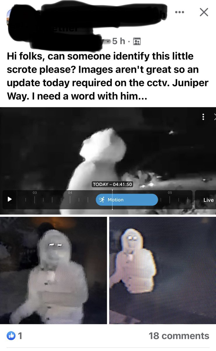 probesandjelly's tweet image. Anyone? #localgroups #facebook