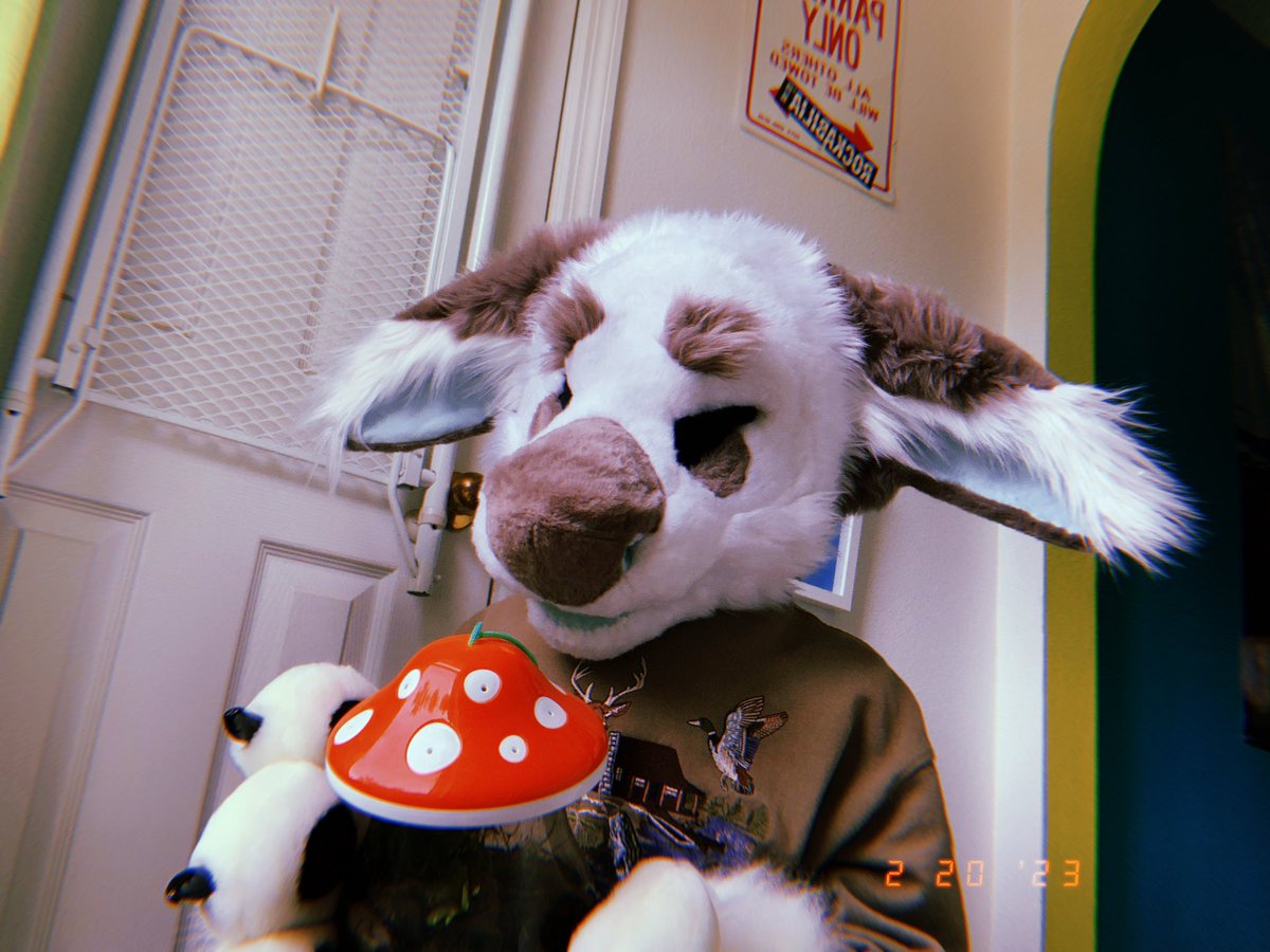 voydcat's tweet photo. Just a little guy and his mushroom :3
🍄🌿☀️
Happy #FursuitFriday !

#furry #fursuit #fursuiter #furryfandom https://t.co/QTSjaYbHar