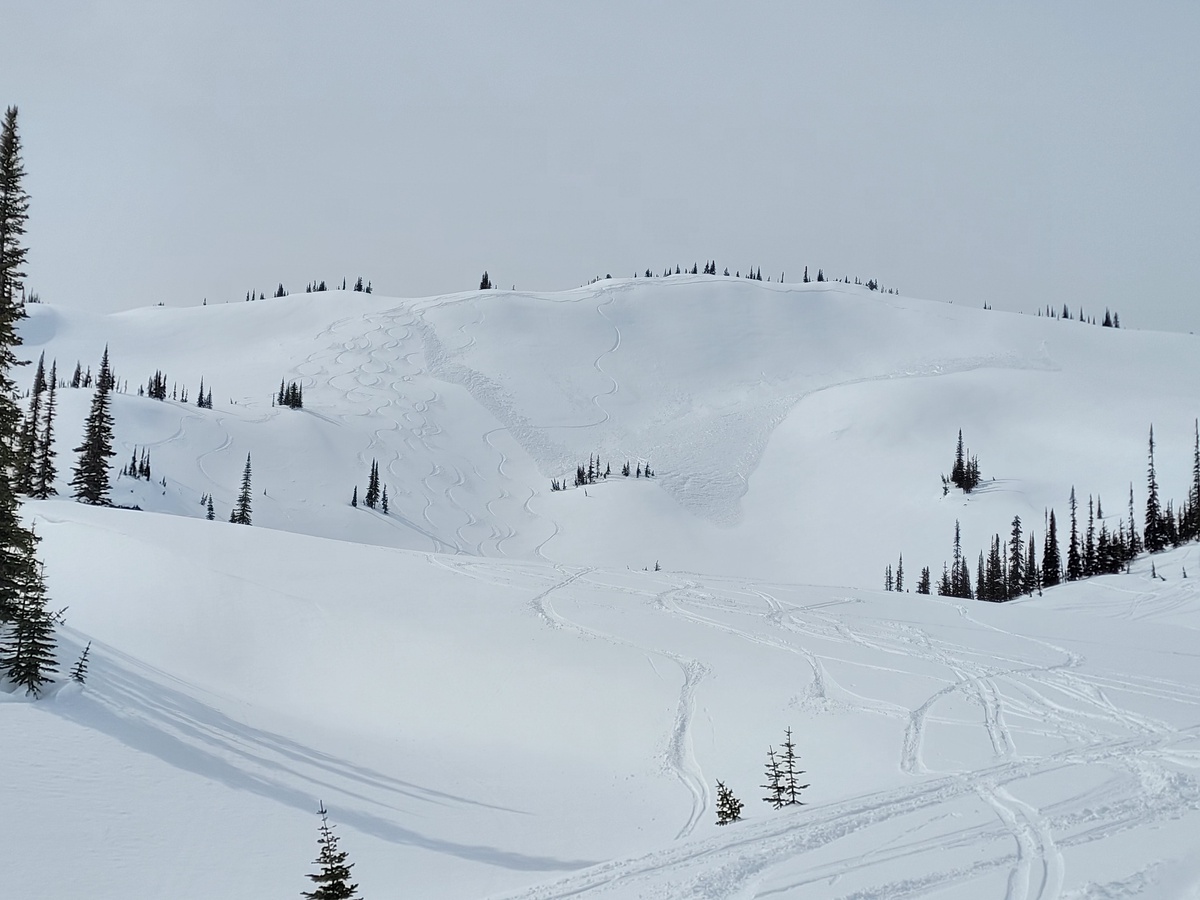 Avalanche Canada tweet media