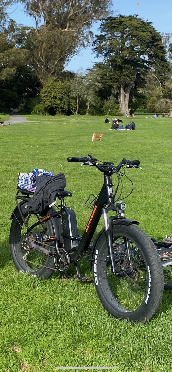 partpowell's tweet image. @stolenbikessfo well my bike was stolen off the SFSU campus. It is a very big Rad Rover with two fat megatane tires wich are rare for the bike. 2600+ miles. Has anyone seen it around? 👍🏻🚴🏻‍♀️🌷 Thanks #SanFrancisco #radrover #bikeindex