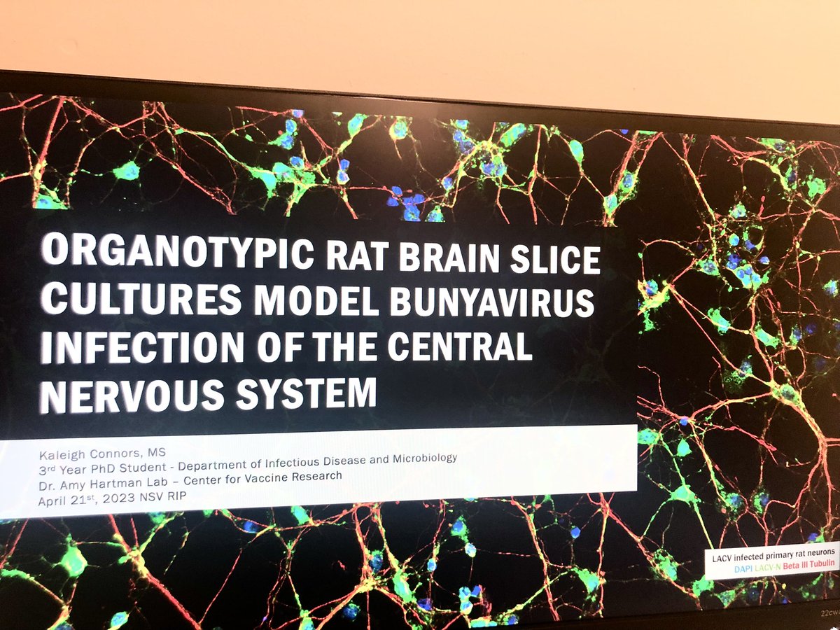 Just gave my first RIP @PittCVR NSV meeting! Thanks all for letting me ramble about #viralencephalitis #rift AND for providing valuable feedback to my work!! #lovevirology 🧠 🦠