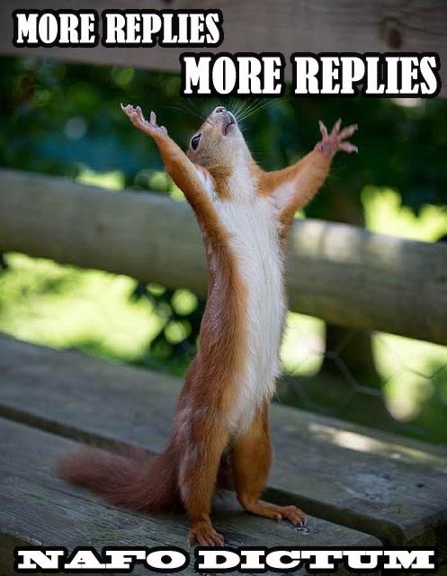 trinzu's tweet photo. @albafella1 @ErkoLaidinen1 Yes please! https://t.co/qDKWoplLnh