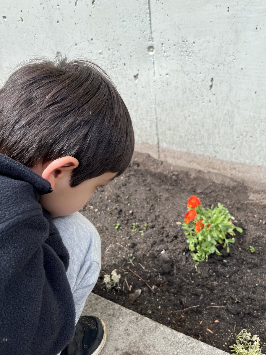 smusgrove2's tweet image. Today’s community walk checking out bee amenities. Our bees seem to love their new home! #bees #communitywalk #walk #walkingchallenge #walk30 ⁦@walkerscaucus⁩ ⁦@Walk30Challenge⁩ #sd40learns #kelvinkindies ⁦@LKCougars⁩