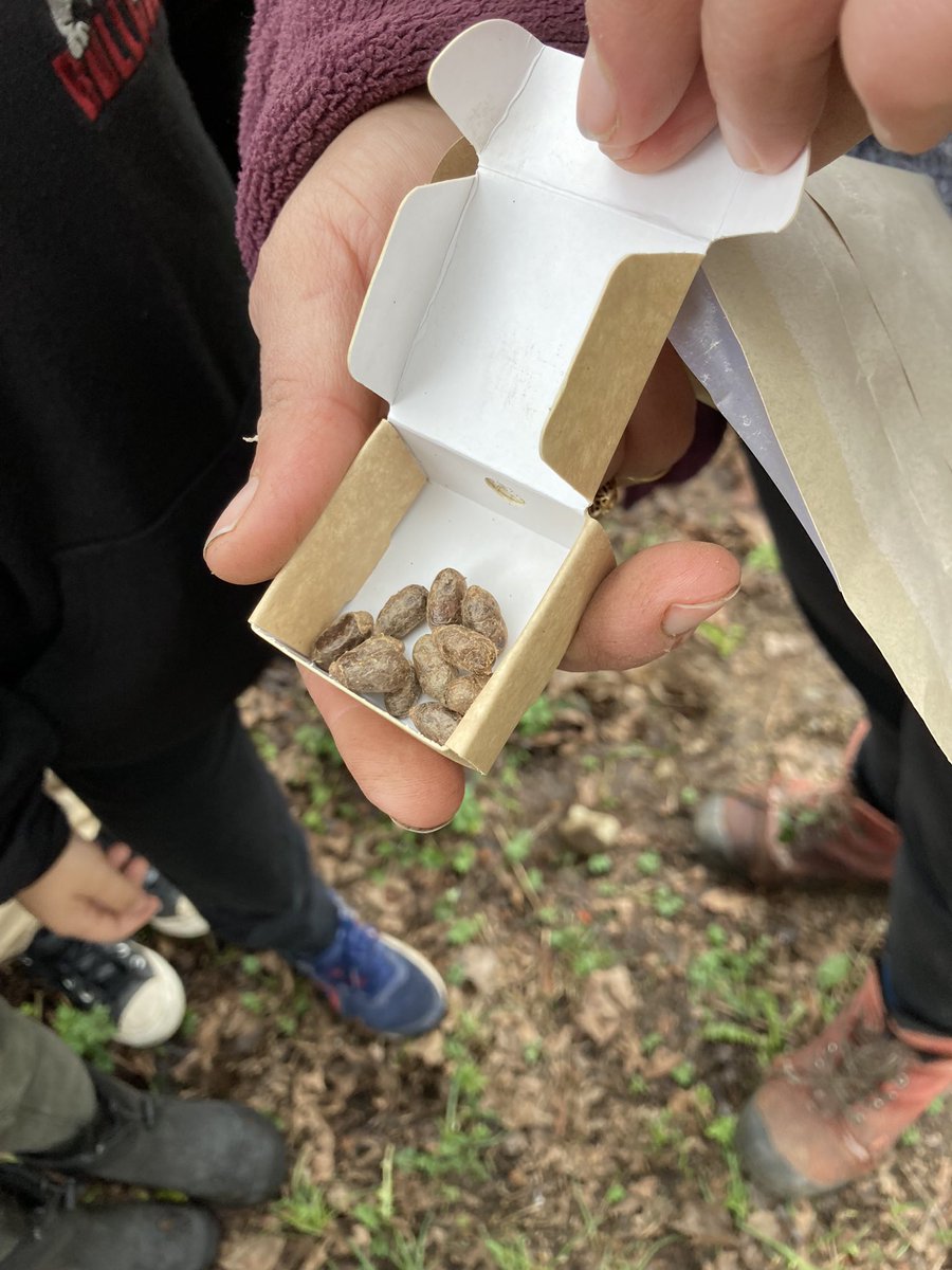 turciosk's tweet photo. Excited to share we have a Mason bee condo installed in our Forest. Looking forward to the warmer weather next week to get this going @CityofBurnaby @westridgeSD41 @BurnabyOutside https://t.co/AuId7P8IKg
