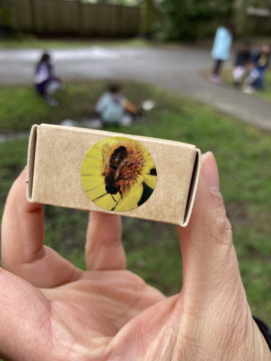 turciosk's tweet photo. Excited to share we have a Mason bee condo installed in our Forest. Looking forward to the warmer weather next week to get this going @CityofBurnaby @westridgeSD41 @BurnabyOutside https://t.co/AuId7P8IKg