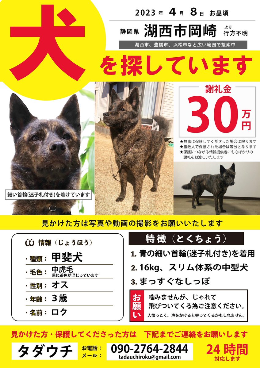 roku_maigo's tweet photo. 【迷子犬を探しています】
甲斐犬オス3歳、名前ロク
目撃情報から、現在は静岡県湖西市岡崎周辺にいるかもしれません。
本日は涼しいため、日中も移動する可能性があります。
似ている犬を見かけましたらいつでもお電話ください。
黒っぽい立ち耳の中型犬です。 https://t.co/5FPq6EKK8F