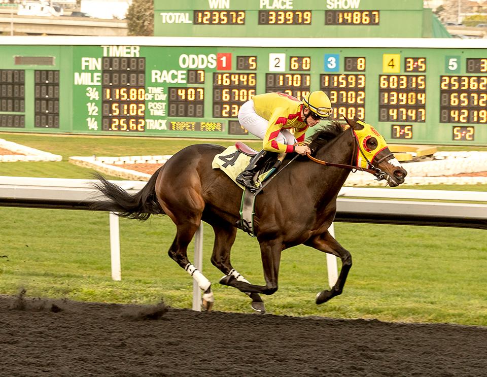 Gate_To_Wire's tweet photo. https://t.co/JkOYtXpEyy
RACE ALERT! Don't miss the action
https://t.co/cmXUfhirbd https://t.co/z83pWYoNSV