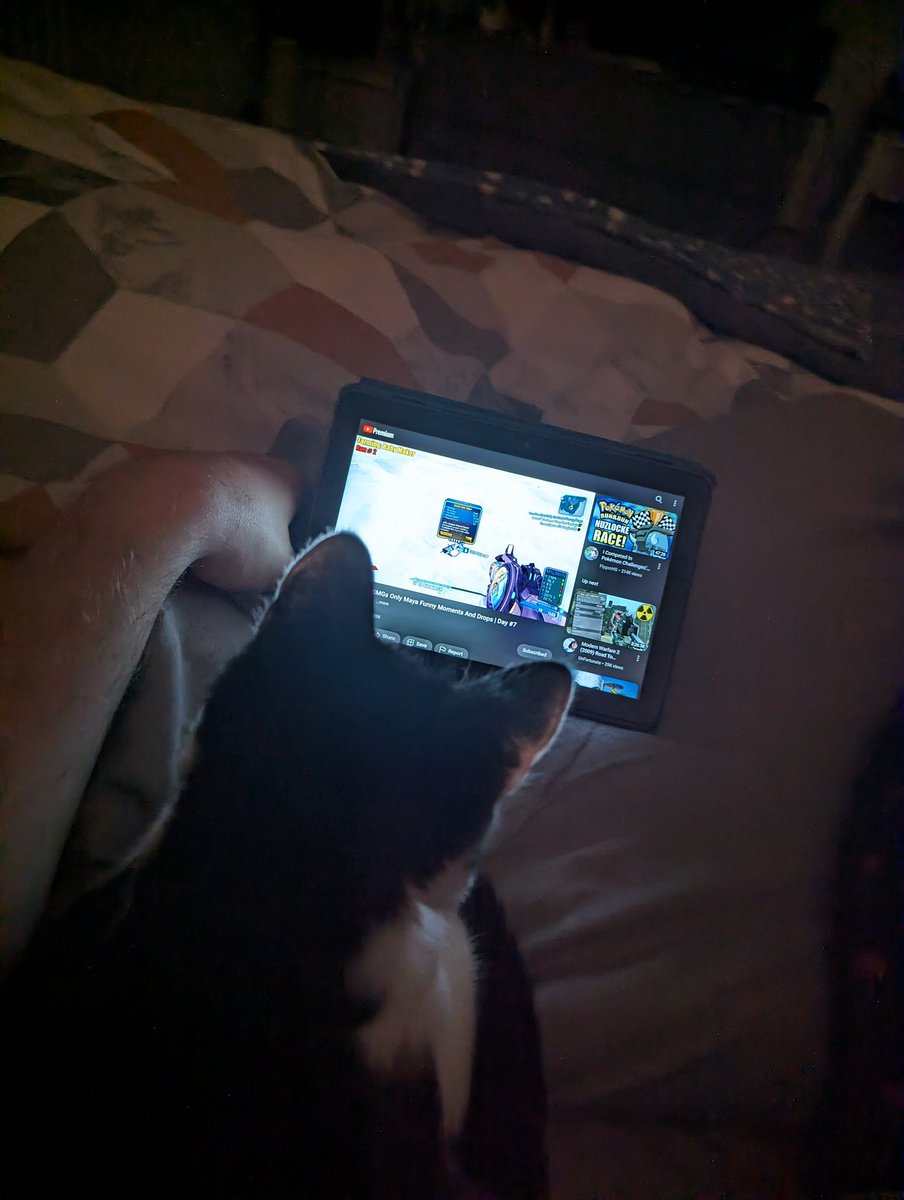 Brett_Crane's tweet photo. @Joltzdude139 my little kitten Panda is enjoying the SMG series 😂👌 https://t.co/I07yKXsXNt