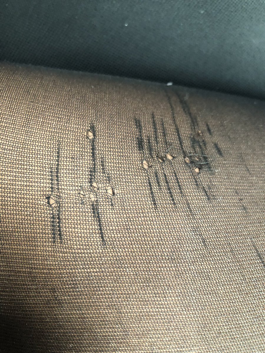 SisterBritt tweet media