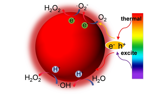ChemSusChem's tweet photo. Solar-to-H2O2 Energy Conversion by the Photothermal Effect of a Polymeric Photocatalyst via a Two-Channel Pathway (Liqun Ye and co-workers) @CTGU_China #ChemSusVIP https://t.co/rTkMlztkY0 https://t.co/1db7ZbCKZM