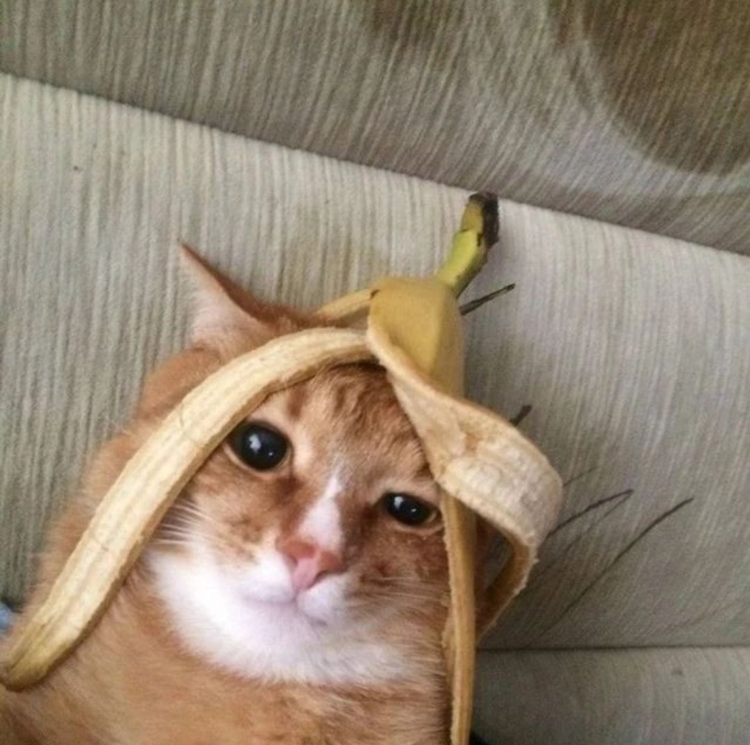 felt cute mite delete l8r