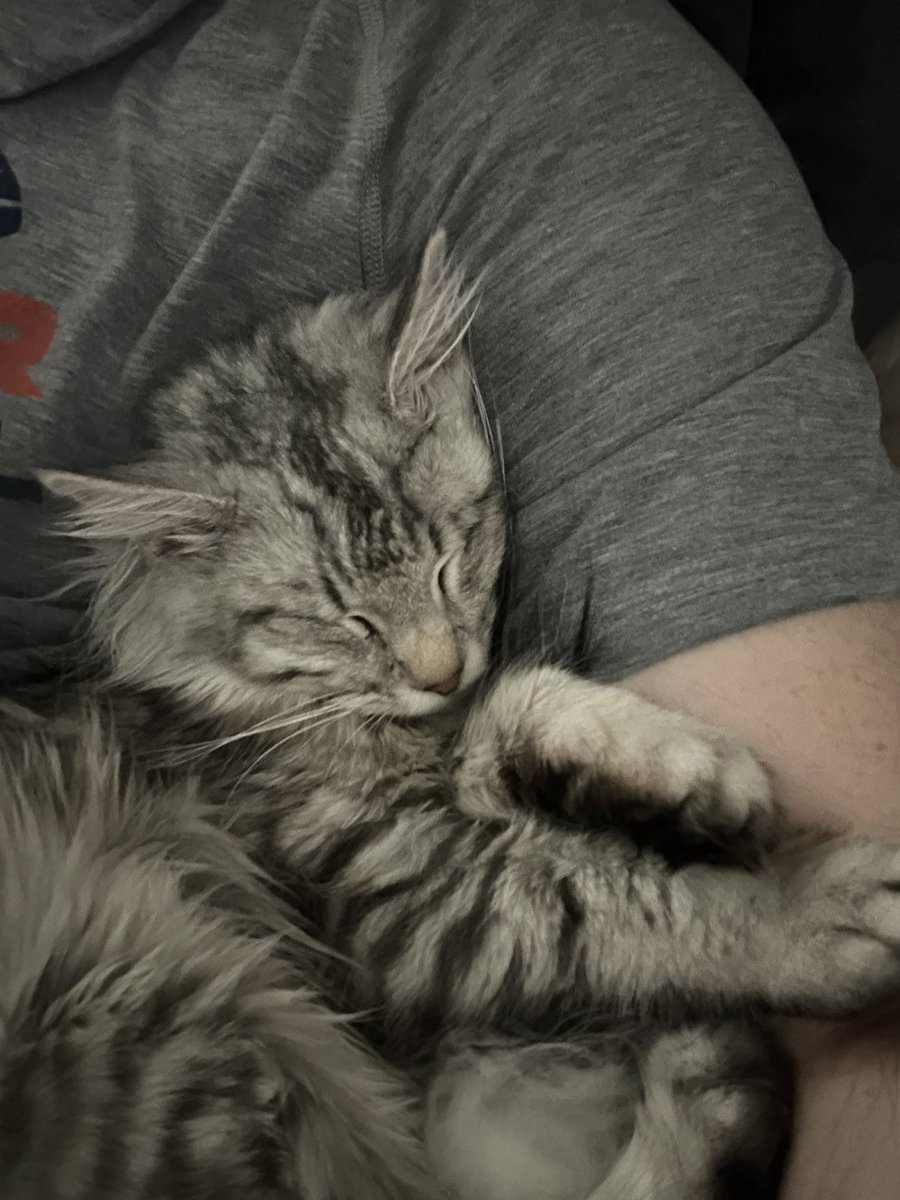 Freyja tweet media