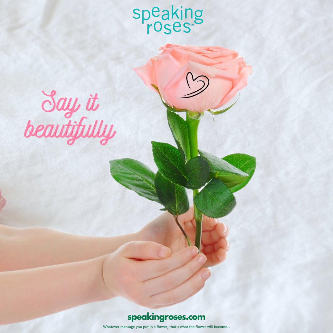 Speakingroses's tweet photo. Say it beautifully with Speaking Roses. Give the best flower gift to your loved ones. https://t.co/dYtFy5JWQq
#Giftspeakingroses #askforfranchisee
#flawless #international
#licensing #franchising #speakingroses #cupidlove #creativity #eternallove #newstart #rebranding https://t.co/lmxzaTHLL3