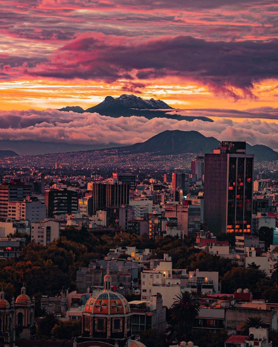multiforoalicio's tweet photo. Ciudad de México,
Viernes de abril
Vive y deja vivir.
Fotografía:
rishiavila https://t.co/4fBc0SgbjK