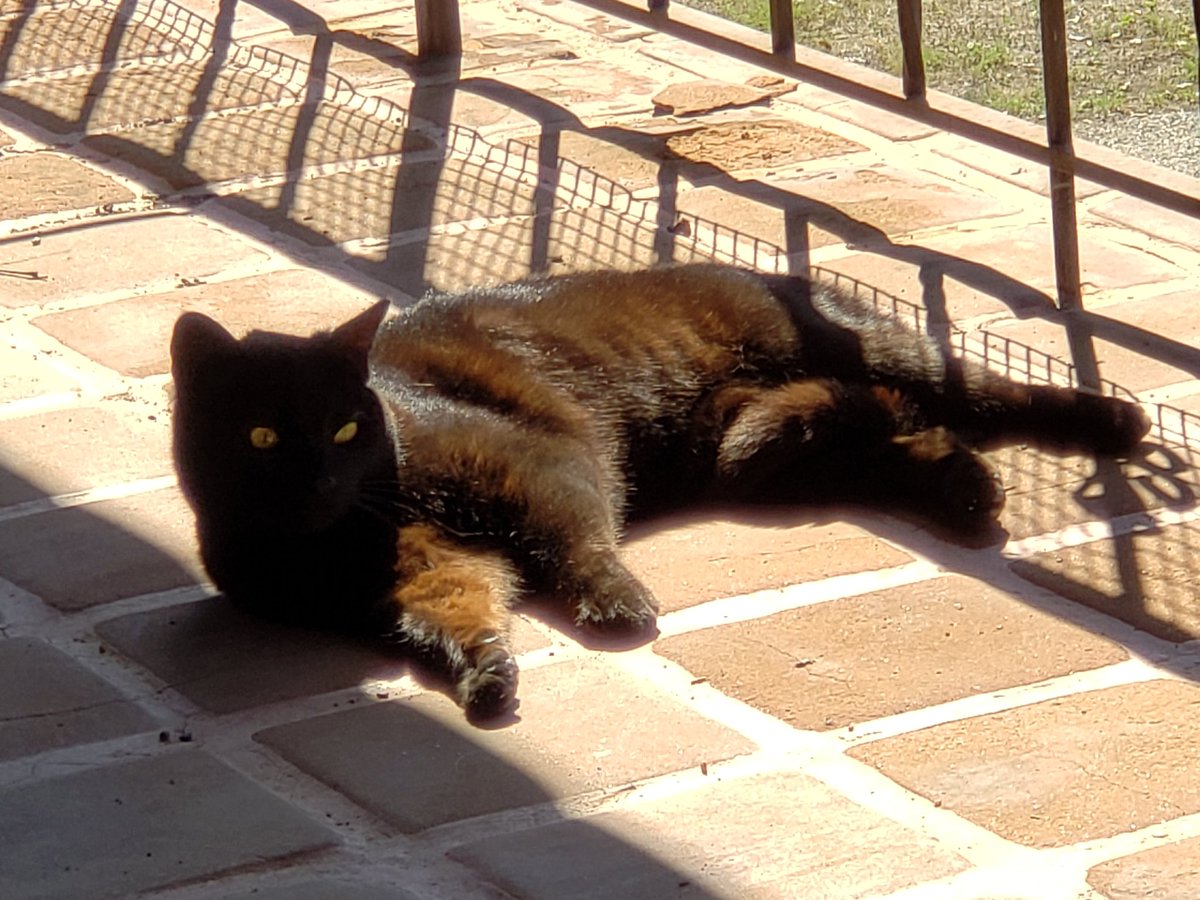 HegnerJohn's tweet photo. @ohcatrina When there is a sunbeam but you are the night. https://t.co/TmAnnKUEHM