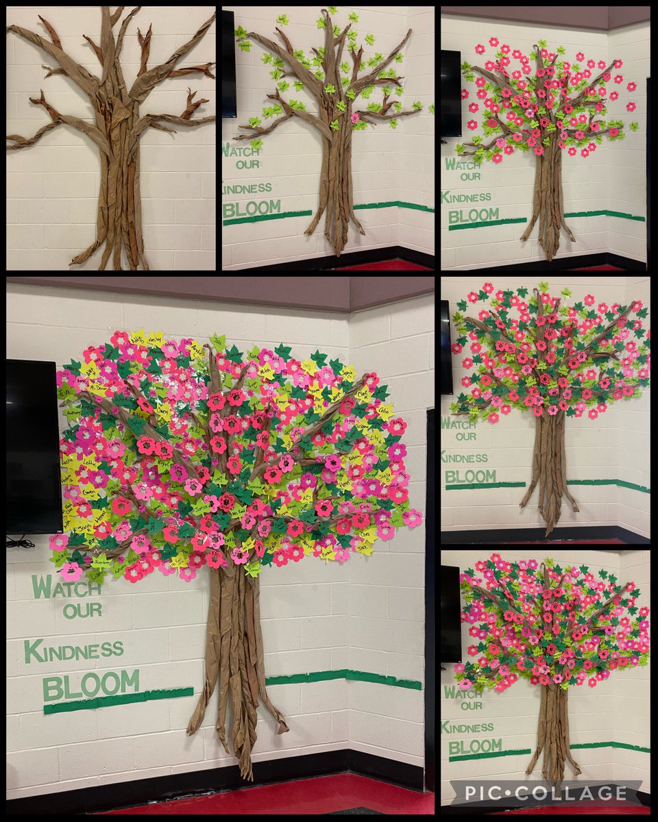 This week we celebrated kindness. I’m so proud of our Pond Panthers and all of their kind acts.