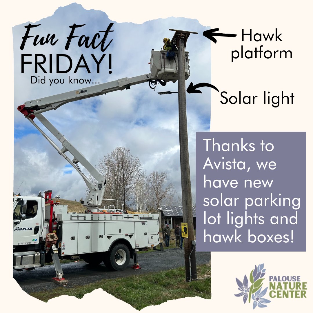 For #EarthDay, <a href="/AvistaUtilities/">Avista Utilities</a> installed new #hawk platforms &amp; #solarpowered parking lot lights at the Nature Center! Thanks Avista for your ongoing support!
#PalouseNatureCenter #RoseCreekNaturePreserve #pcei #connectingpeopleplacecommunity #serving #learning #restoring #living