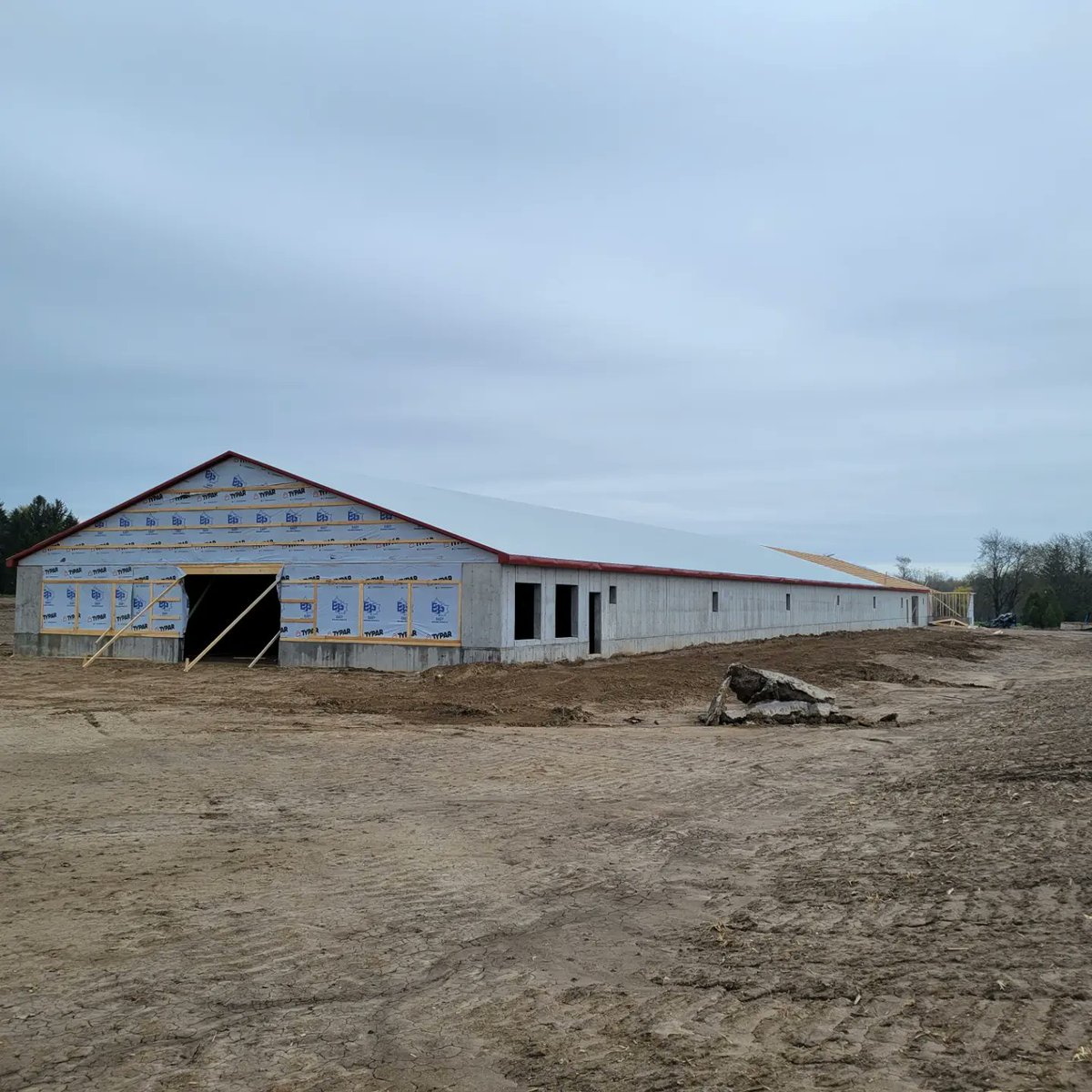 VanderlaanAl's tweet photo. The week in review
Set trusses on this 64'x300' chicken barn and placed 2/3 of the roof steel. We also finished roof steel on another chicken barn and started insulating. Great week by a great crew. https://t.co/9uRHEzfSOS