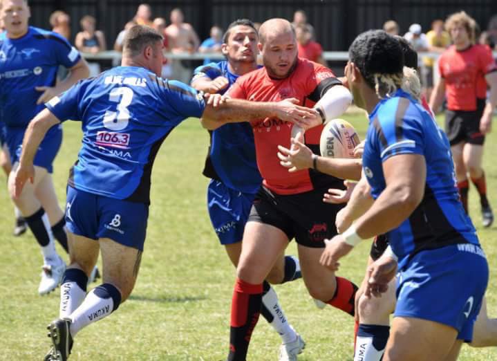 CatflapChats's tweet image. I may make a comeback then #catflap