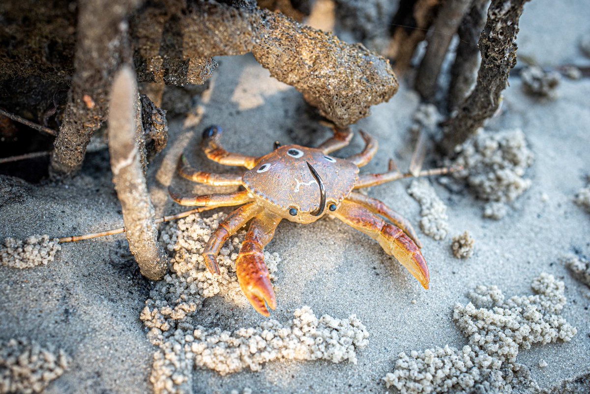 Chasebaits tweet media