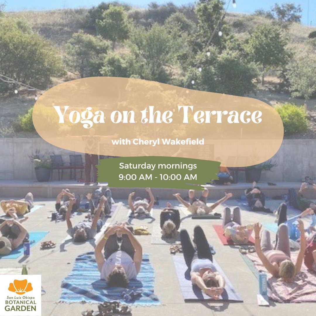 SLOBG's tweet photo. Join Cheryl Wakefield Saturday morning for yoga on the terrace! 

Start your weekend on a positive foot with a yoga class for all levels that focuses on mind-body unity.

Reserve your spot today through the link in the bio. https://t.co/6etyeOcI1x