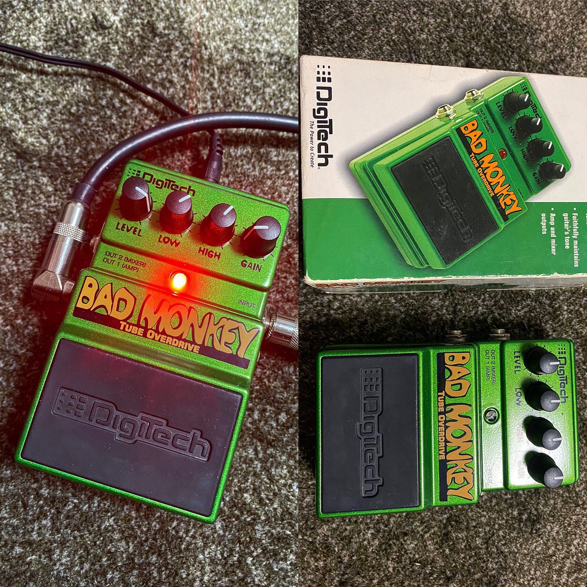 k01asayan's tweet photo. Digitech Bad Monkey
ゲイリームーアよりも凄腕先輩ギタリストの足元にあった事を思い出す。tsやボスよりナチュラルで歪量も少なくトーンがベース、トレブルがある点と聞いていた。使用してみてその通りなの、ts系よりセッティングによってはklonに近い感じの所もある。
#Digitech
#BadMonkey https://t.co/JS75FRPFub