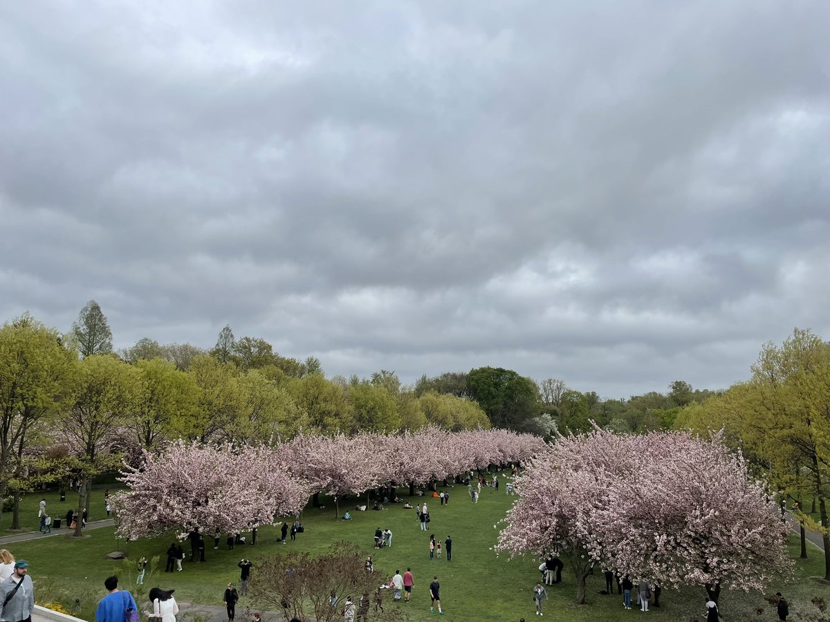 agreenberg's tweet photo. Just got back from this #NYCHellscape at @BrooklynBotanic. https://t.co/aeRLBGNkD2