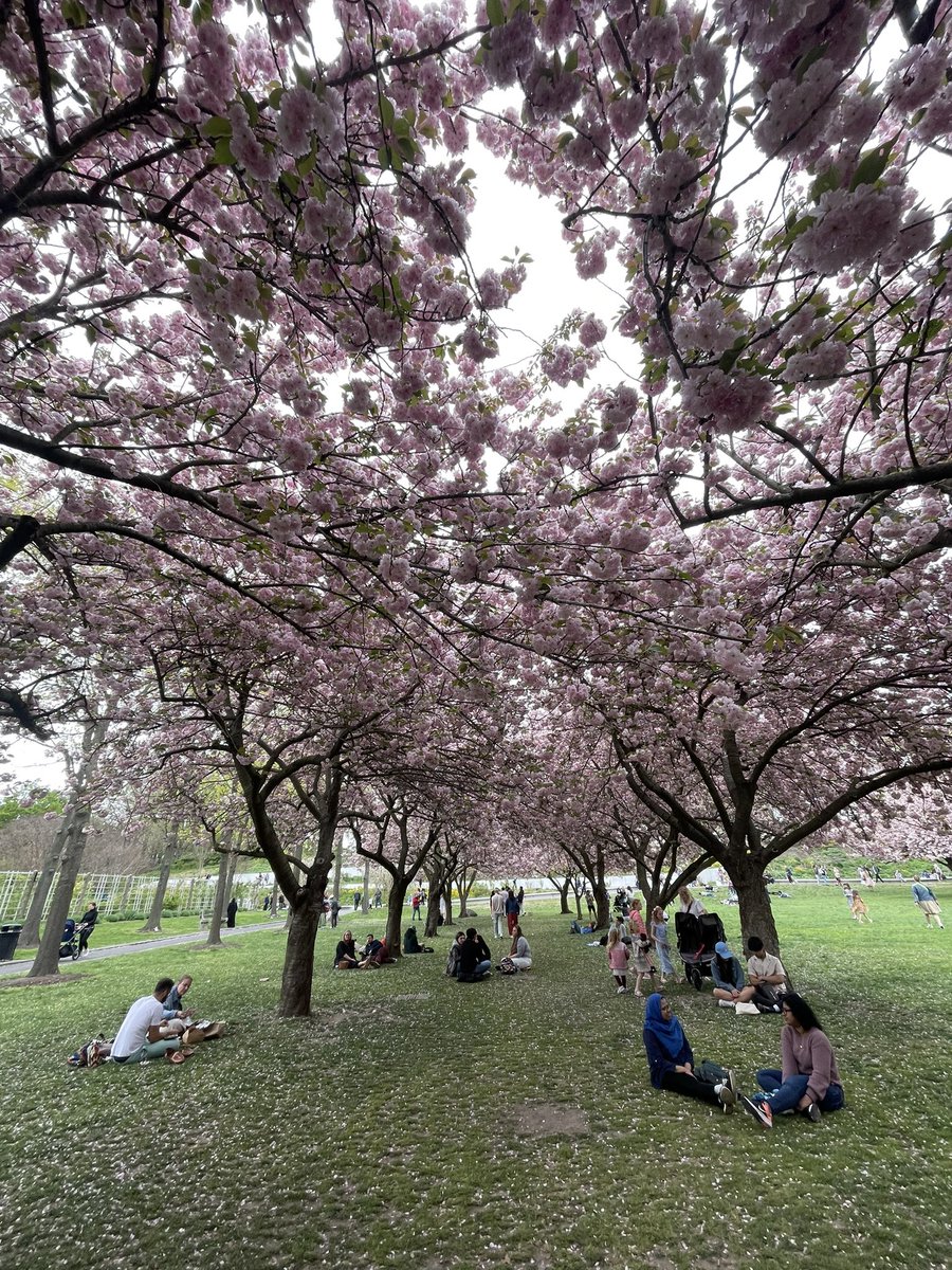 agreenberg's tweet photo. Just got back from this #NYCHellscape at @BrooklynBotanic. https://t.co/aeRLBGNkD2