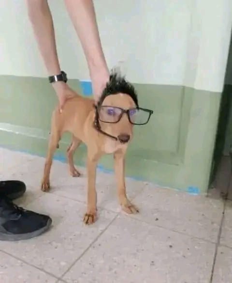LaJulsOK's tweet photo. @Caprimint @Puvlo69 @Puvlo69 se viene hilo 👺 https://t.co/ECuPOn06kr