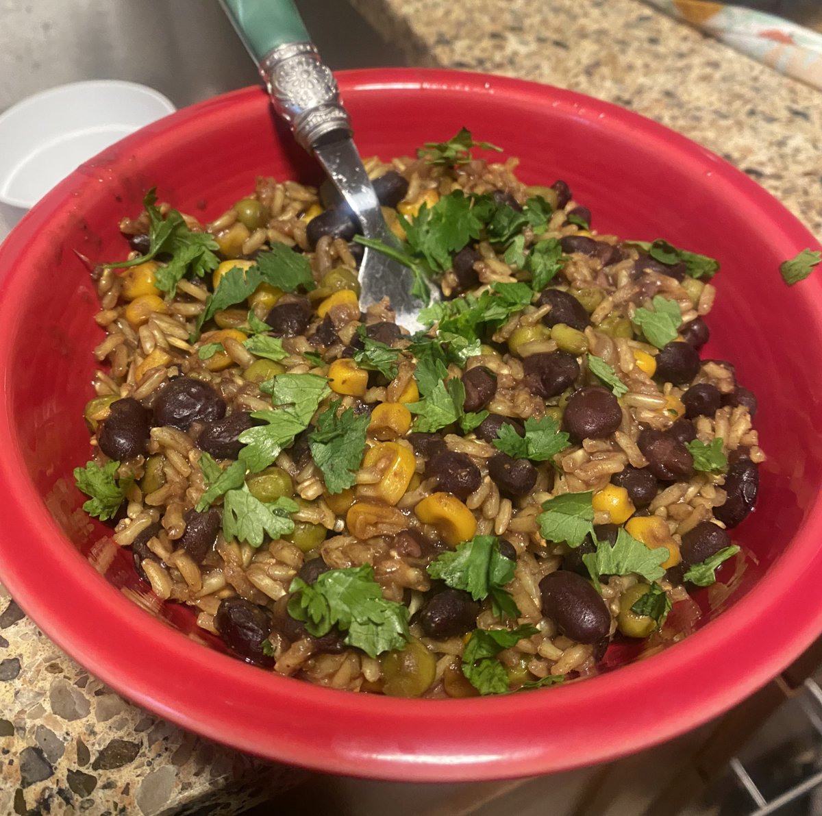 brothlover420's tweet photo. some rice &amp; beans 🍚🫘 https://t.co/nWjqVyNThi