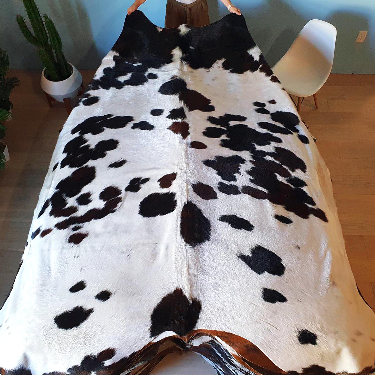 eCowhides's tweet photo. $199 - Natural Tricolor Cowhide Rug Size XX Large 9814

https://t.co/UlWPBaXzvv

#luxurydesign #realcowhide #luxuryliving #cowhiderug #leather #ınterıordesingner #interior #brazilian #luxury #decor #homedecor #rugs #interior #interiordesign #homedecoration https://t.co/hfBbaexNPg