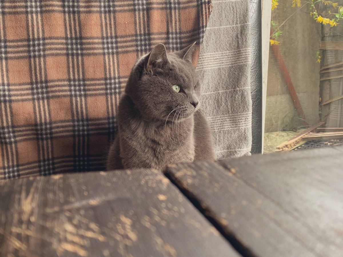 ittamue's tweet photo. 風つよいですねー https://t.co/9QwcFpts9A