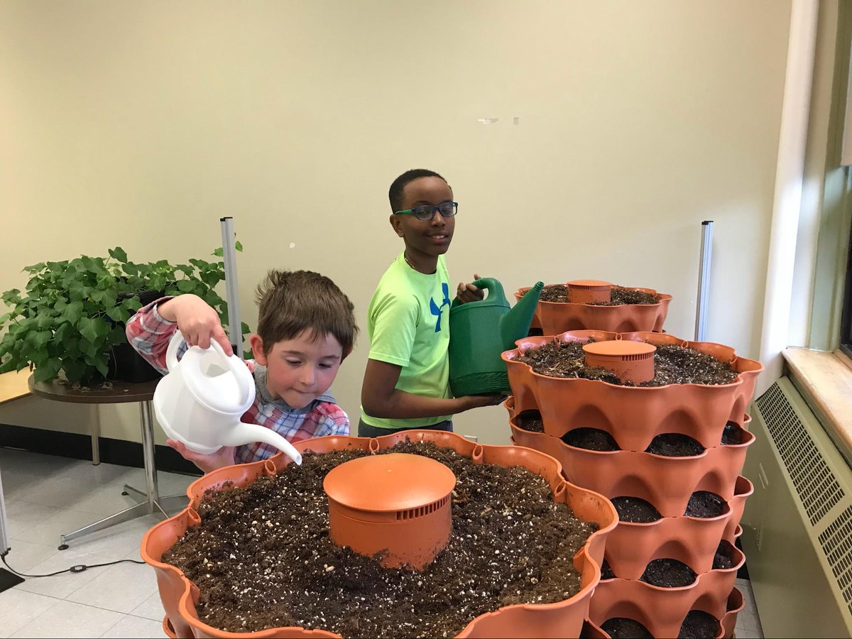 C’est dans le cadre de la Journée de l’innovation et de la créativité que l’École élémentaire catholique Sainte-Félicité a souligné son nouveau projet de serres intérieures 🌱🤩

Pour plus d'informations : bit.ly/40oZgXq

#CSDCEOinnovation  #OnEstBienCSDCEO