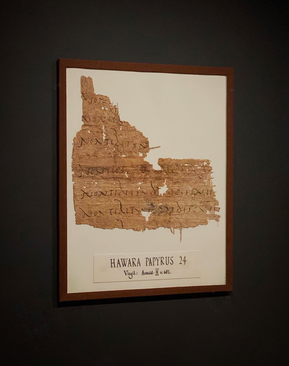 chapps's tweet photo. In 1888, Flinders Petrie discovered this papyrus at Hawara, #Egypt. On one side, a single line from Virgil's Aeneid was written 7x over in Latin cursive: 'It is not the hated face of Spartan Helen...'. A student's writing exercise? 

One of the oldest surviving pieces of Virgil. https://t.co/QcdUCzn50k
