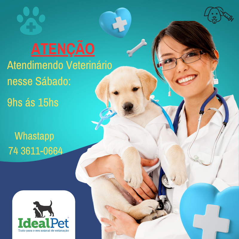 idealpet1's tweet photo. Atenção, tutores de animais! Amanhã, dia 22/04/2023, haverá consulta veterinária na nossa clínica das 9h às 15h. Não perca a oportunidade de cuidar da saúde do seu pet com os melhores profissionais da região. 

Nosso Whastsapp 74 3611-0664 https://t.co/rJ1fQjJgiN