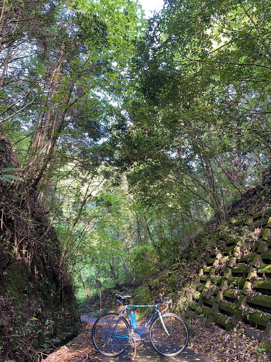 nikovland's tweet photo. 今朝の🚵‍♂️ヒルクライム、“脚が軽やか♪”で、いつもより1枚重いギアにも気付かず登頂😆

｢イイ日になった昨日｣&amp;｢神々しい山岳ルート｣に感謝‼️

【本日の営業時間 10〜19時】
https://t.co/yJj80IzGxa

#自転車 #ロードバイク #road #bike #mbk #hillclimb #脚 #軽やか #カセット #スプロケット #19t https://t.co/sh4BTiZfYw