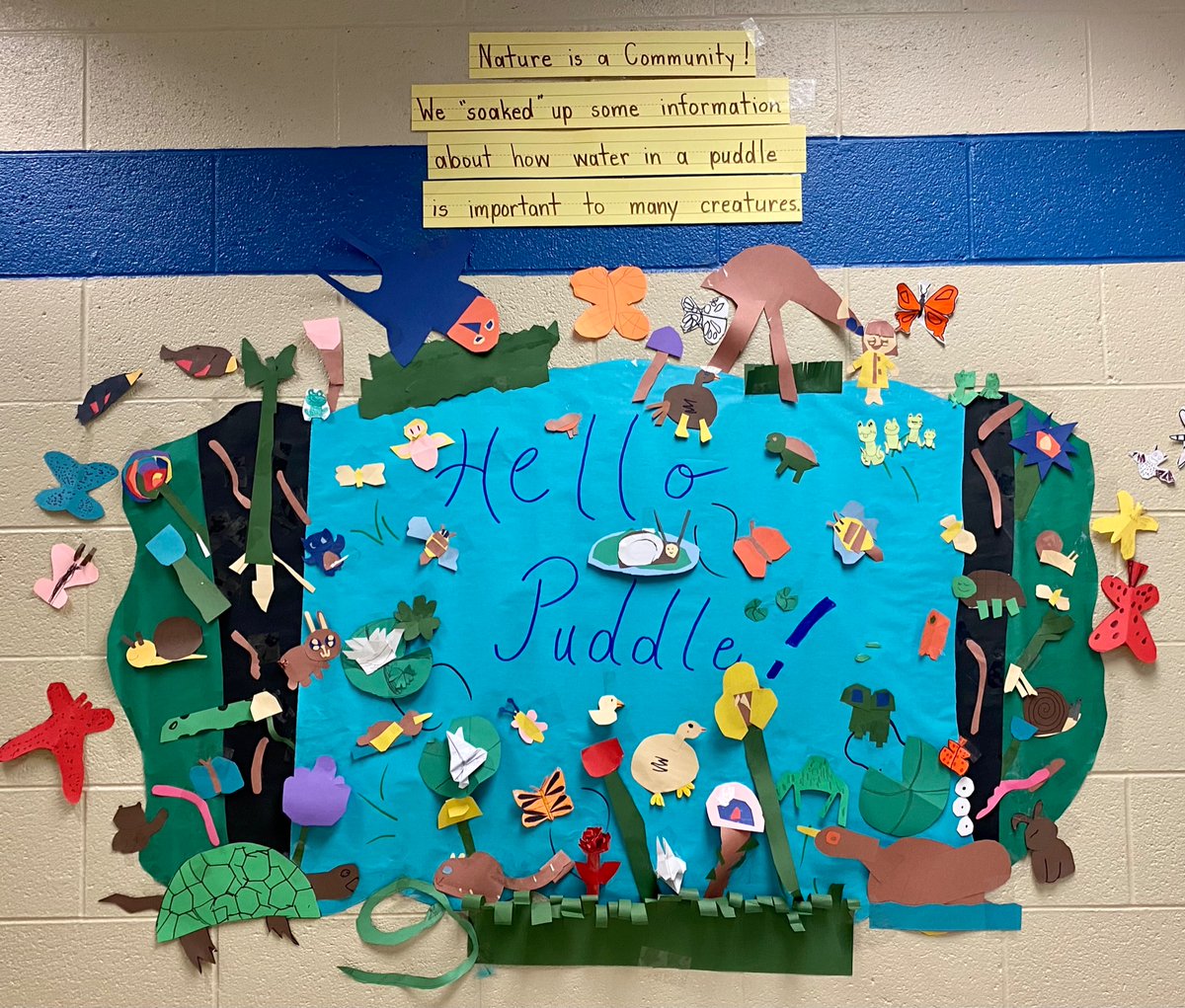 Second Grade read Hello Puddle and learned how the water in a puddle is important to many creatures! <a href="/centreridgees/">Centre Ridge Rams</a>