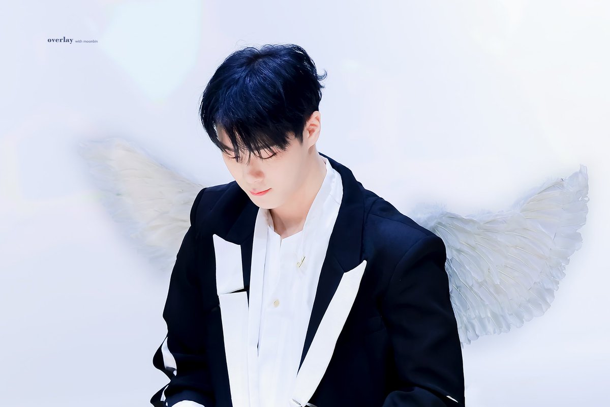 pupcatbean's tweet photo. This is not a goodbye. Until we meet again, my love. Fly high, Binnie. I love you always and forever, my Moon. Keep shining! ✨🤍 https://t.co/Bo6rLacDk6